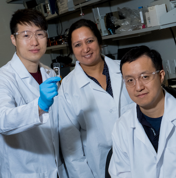 Asphaltene Deposition- Advances in Engineering
