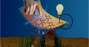 Bio-waste onion skin as an innovative nature-driven piezoelectric material with high energy conve. Advances in Engineering