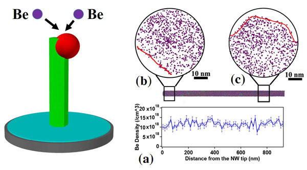 Doping of Self-Catalyzed Nanowires under Influence of Droplets- Advances in Engineering
