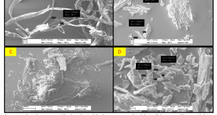 Green synthesis of novel biocomposites from treated cellulosic fibers and recycled bio-plastic polylactic acid Fibers-Advances in Engineering