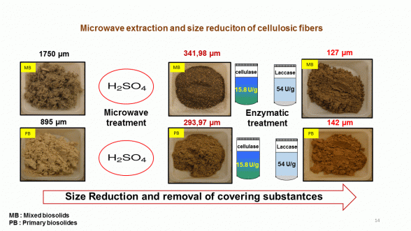 Green synthesis of novel biocomposites from treated cellulosic fibers and recycled bio-plastic polylactic acid. Advances in Engineering