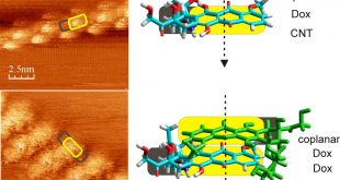 Doxorubicin Adsorbed on Carbon Nanotubes: Helical Structure and New Release Trigger. Advances in Engineering