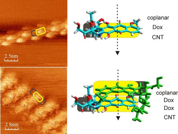 Doxorubicin Adsorbed on Carbon Nanotubes: Helical Structure and New Release Trigger. Advances in Engineering