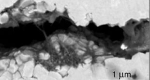 3YTZP-MWNT-ceramic-nanocomposites---Advances-in-Engineering