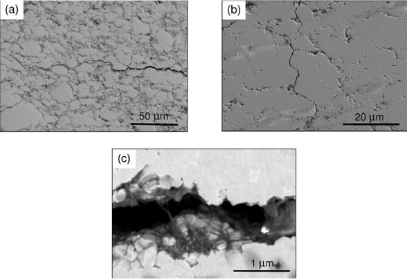 3YTZP-MWNT-ceramic-nanocomposites---Advances-in-Engineering