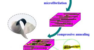 Constructing a double-percolated conductive network in a carbon nanotube/polymer-based flexible semiconducting composite . Advances in Engineering