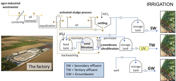  Closing water cycle in agro-industrial sector by reusing treated wastewater for irrigation-Advances in Engineering