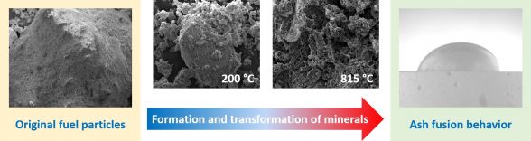 Formation and transformation of mineral phases in various fuels-Advances in Engineering