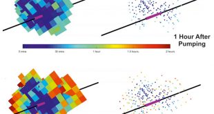 A sensitivity analysis of effect of pumping parameters on hydraulic fracture networks -Advances in Engineering