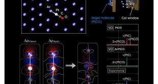 Mystery in vibrational spectrum of PtCO in argon matrix has been solved by highly sophisticated electronic and vibrational quantum-chemical computations.. Advances in Engineering