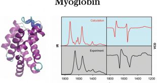 Insight into structure of proteins by vibrational circular dichroism and density functional modeling. Advances in Engineering