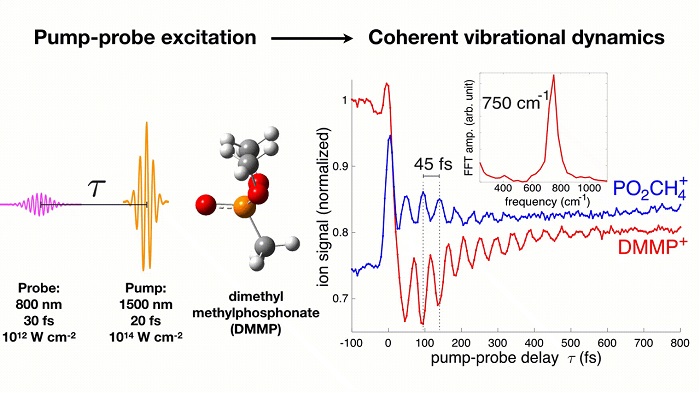 Making molecules dance: Preparing coherent states in polyatomic radical cations - Advances in Engineering