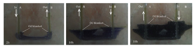 Comprehensive feasibility study of two-well-horizontal caverns for natural gas storage in thinly-bedded salt rocks in China, Advances in Engineering