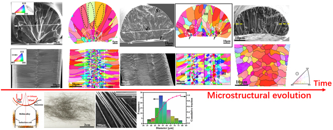Micron-sized Ni-Mn-Ga wires for micro-sensors and actuators, Advances in Engineering