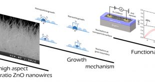Mechanisms involved in the hydrothermal growth of ultra-thin and high aspect ratio ZnO nanowires, Advances in Engineering