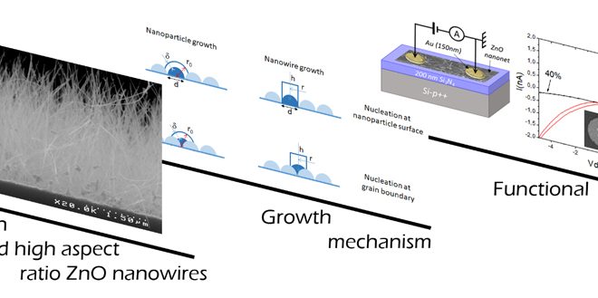 Hydrothermal growth of ultra-thin and high aspect ratio ZnO nanowires ...