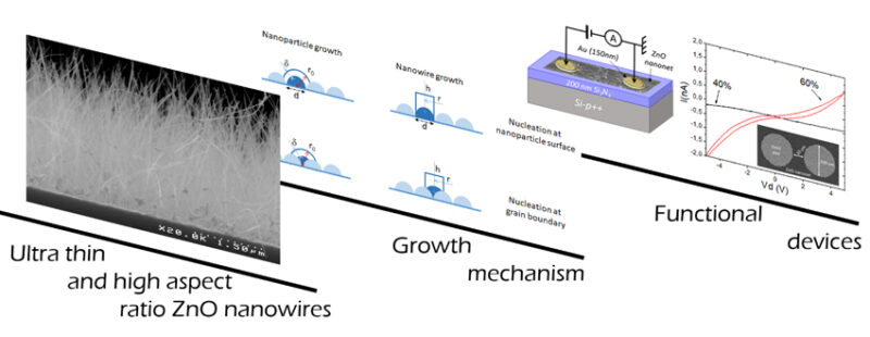 Hydrothermal growth of ultra-thin and high aspect ratio ZnO nanowires ...