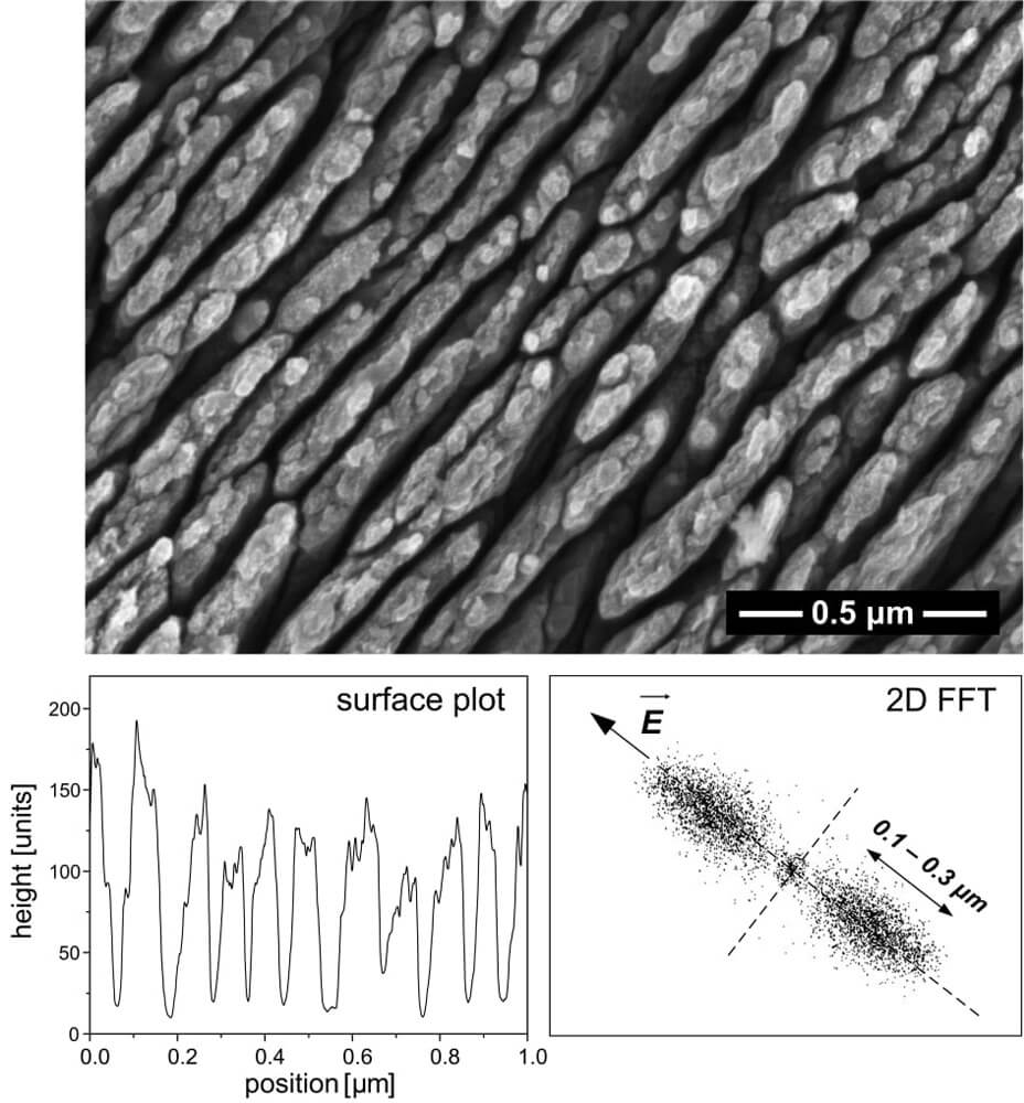 Femtosecond laser-induced nanostructures for improving performance of medical implants - Advanced Engineering
