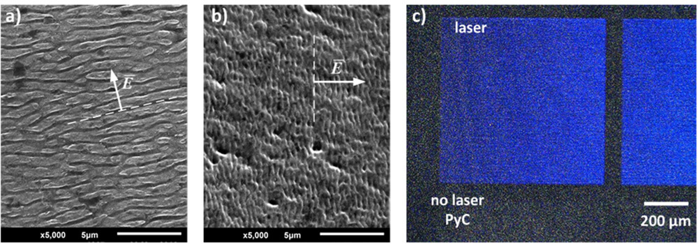 Femtosecond laser-induced nanostructures for improving performance of medical implants - Advanced Engineering