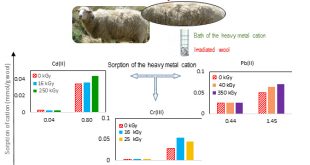 Excessive sheep wool can be capitalized to effective ecological sorbent, Advances in Engineering