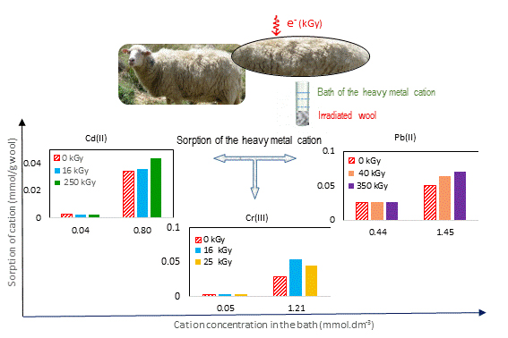 Excessive sheep wool can be capitalized to effective ecological sorbent, Advances in Engineering
