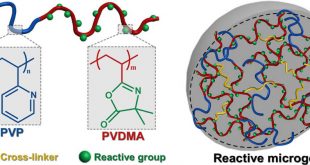 Reactive Microgels: Small but Smart Soft Materials - Advanced Engineering