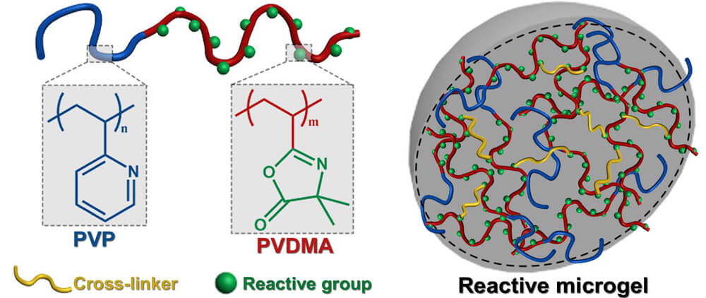 Reactive Microgels: Small but Smart Soft Materials - Advanced Engineering