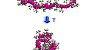 PNIPAM: molecular answer of a thermosensitive synthetic macromolecule in water-Advances in Engineering
