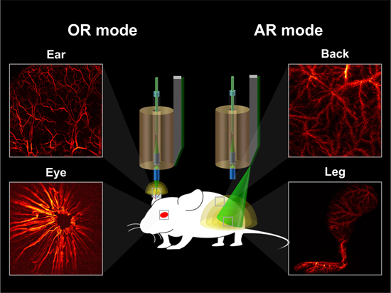 Miniaturization of optical- and acoustic-resolution photoacoustic ...