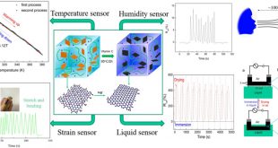 Smart cellulose/graphene-based composites readily available for multiple sensing applications - Advances in Engineering