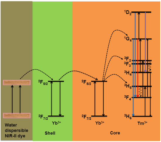 ENHANCED NIR-I EMISSION FROM BROADBAND WATER-DISPERSIBLE NIR-II DYE-SENSITIZED UPCONVERSION OF NEAR-INFRARED LIGHT - Advances in Engineering