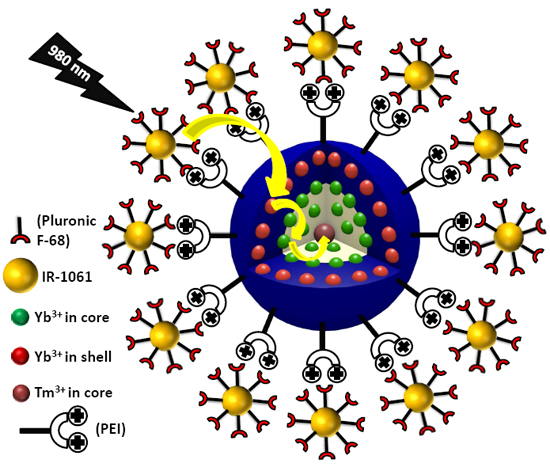 ENHANCED NIR-I EMISSION FROM BROADBAND WATER-DISPERSIBLE NIR-II DYE-SENSITIZED UPCONVERSION OF NEAR-INFRARED LIGHT - Advances in Engineering
