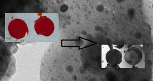 Novel metal modified diatomite, zeolite and carbon xerogel catalysts for mild conditions wet air oxidation of phenol - Advances in Engineering
