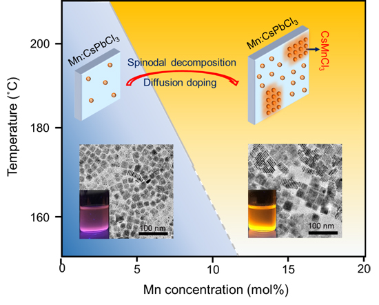 Beyond Doping: Complete Dopant Substitution in Two-Dimensional perovskite Nanoplatelets - Advances in Engineering