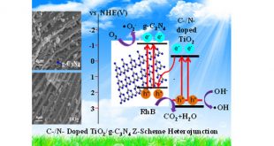 Enhancing Photocatalytic Activity via a Z-scheme Heterojunction at the Interface of Hierarchical TiO2 and g-C3N4-Advances in Engineering