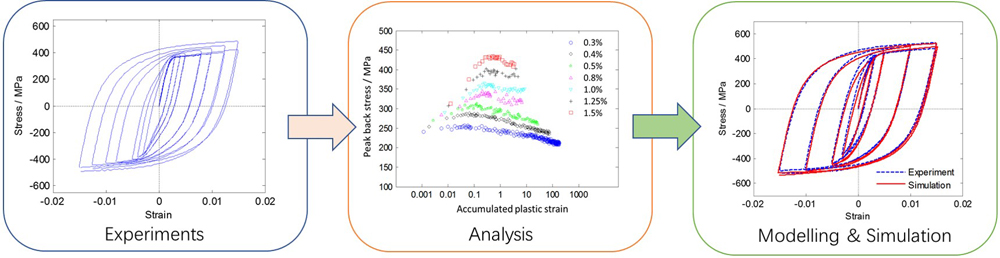 Cyclic plasticity modelling of austenitic steels with complex behavior - Advances in Engineering