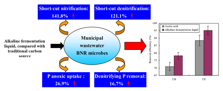 Using wastewater to improve wastewater treatment: Kill two birds with one stone - Advances in Engineering