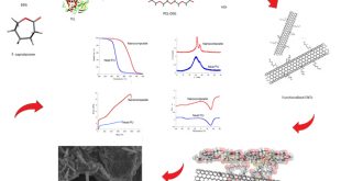 A Chemoenzymatic Approach to Prepare Nanocomposites from Polyester Urethanes and Functionalized Multiwalled Carbon Nanotubes - Advances in Engineering