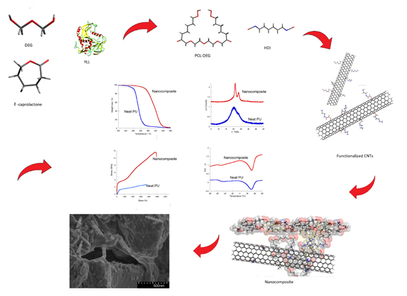 A Chemoenzymatic Approach to Prepare Nanocomposites from Polyester Urethanes and Functionalized Multiwalled Carbon Nanotubes - Advances in Engineering