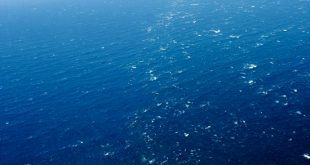Ocean Waves and Density Fronts - Advances in Engineering