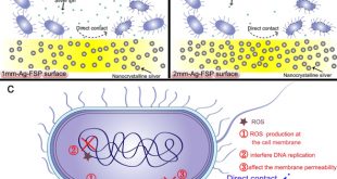 A Noble Biomaterial: TC4/Ag Metal Matrix Nanocomposites Modified by Friction Stir Processing - Advances in Engineering