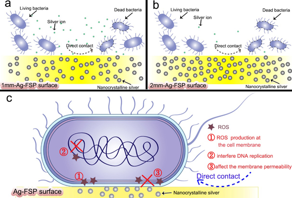 A Noble Biomaterial: TC4/Ag Metal Matrix Nanocomposites Modified by Friction Stir Processing - Advances in Engineering