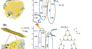 Unique bar-like sulfur-doped C3N4 /TiO2 nanocomposite - Advanced Engineering