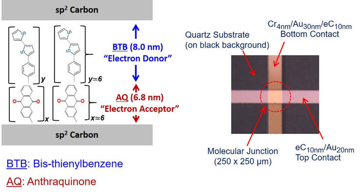 Molecular Photonics in Ultrathin Photodetectors - Advances in Engineering