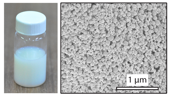 Zein colloids as an edible white colorant - Advances in Engineering