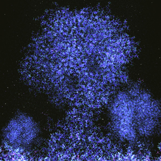 Multi-scale modeling reveals use of hierarchical tensegrity principles at the molecular, multi-molecular, and cellular levels - Advances in Engineering