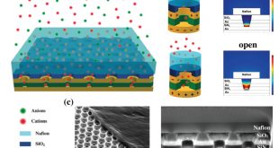Designing Across the Micro-Nano Boundary: Hierarchically Organized Nafion-Nanopore Structures Enable Electrochemical Diodes - Advances in Engineering