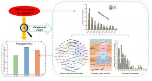 Nanoparticle and antibiotic resistance gene: Two ghosts in anaerobic digestion - Advances in Engineering