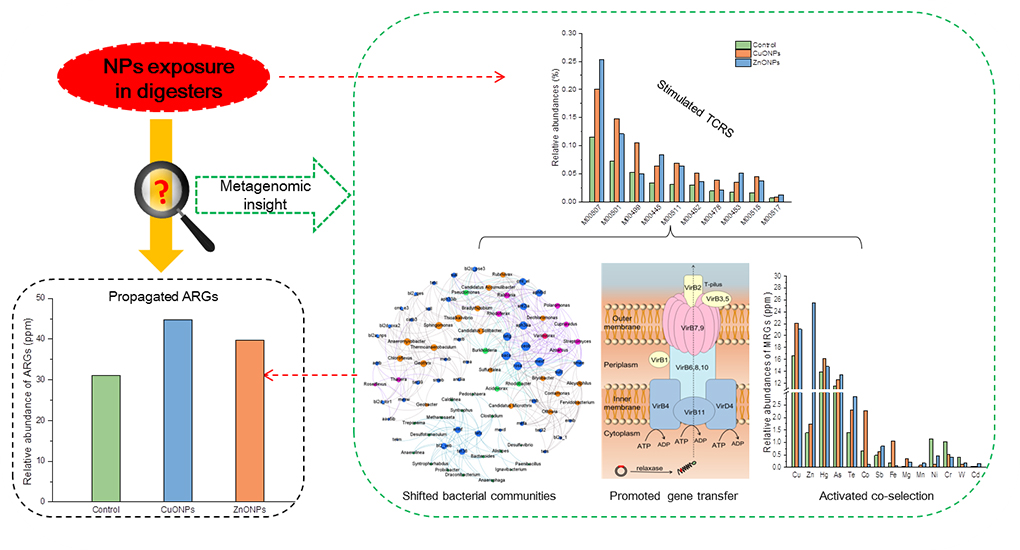 Nanoparticle and antibiotic resistance gene: Two ghosts in anaerobic digestion - Advances in Engineering
