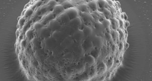 One-shot stereolithography for biomimetic micro hemisphere covered with relief structure - Advances in Engineering